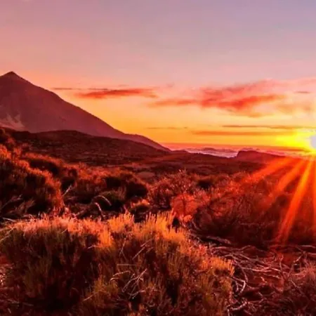 Appartamento Edificio Marta La Caleta